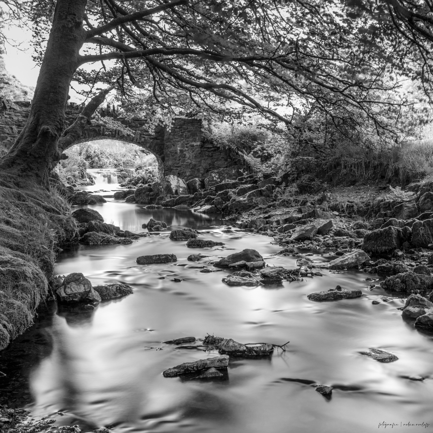 form_107_35_attachment_BW_RobbersBridge_RobinRoelofs